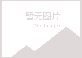 宜州曼山化学有限公司